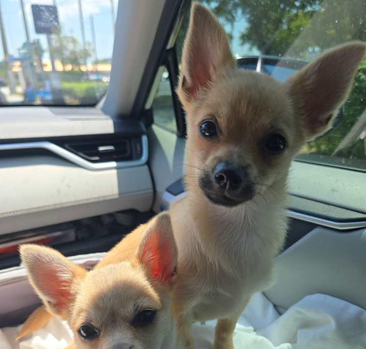 Photo of Thelma and Louise