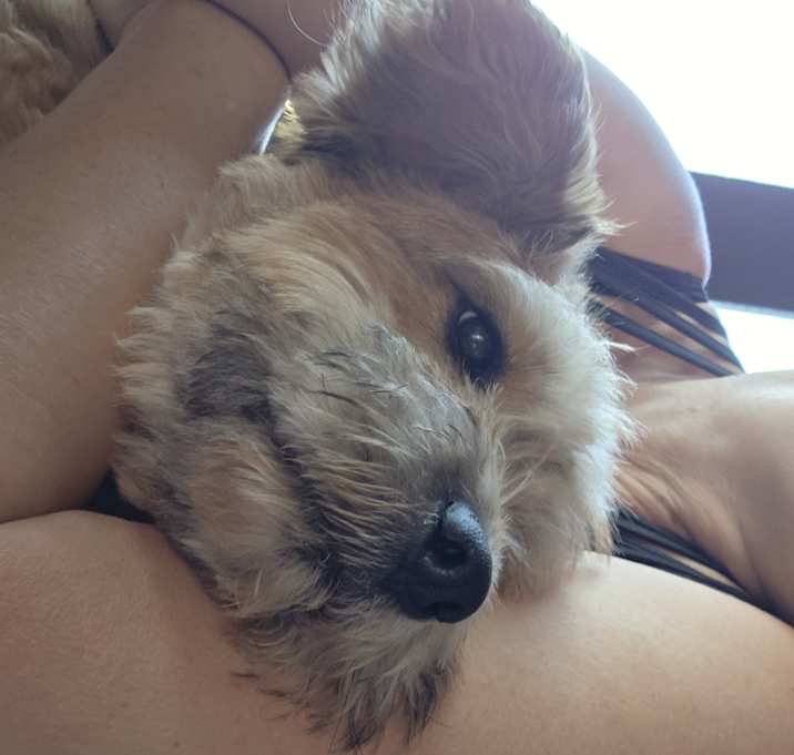 Photo of Kelsey