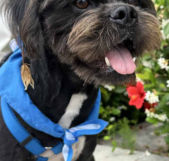 Photo of Ernie