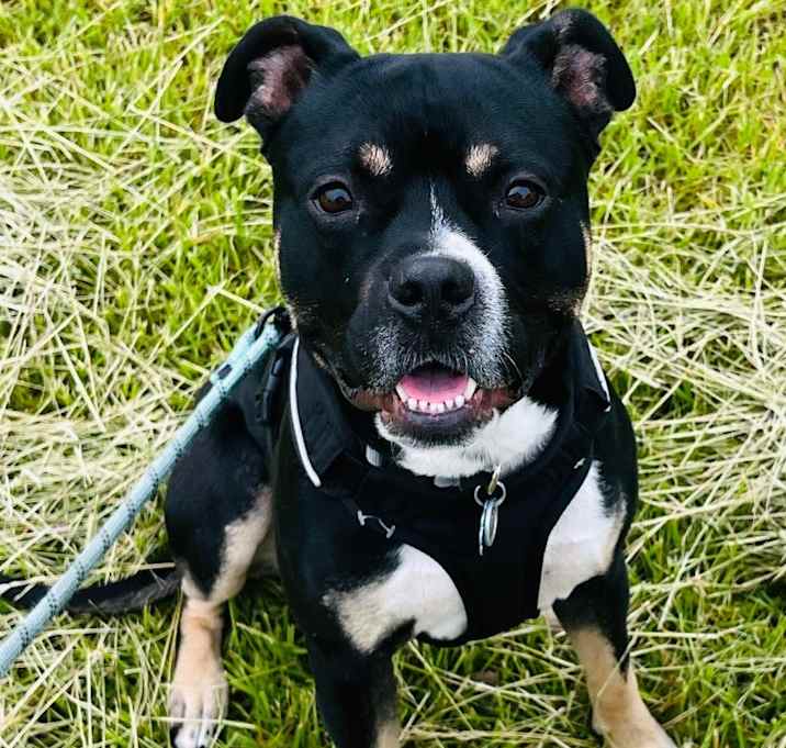 Photo of Zeke