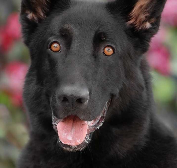 Photo of Garth von Ava