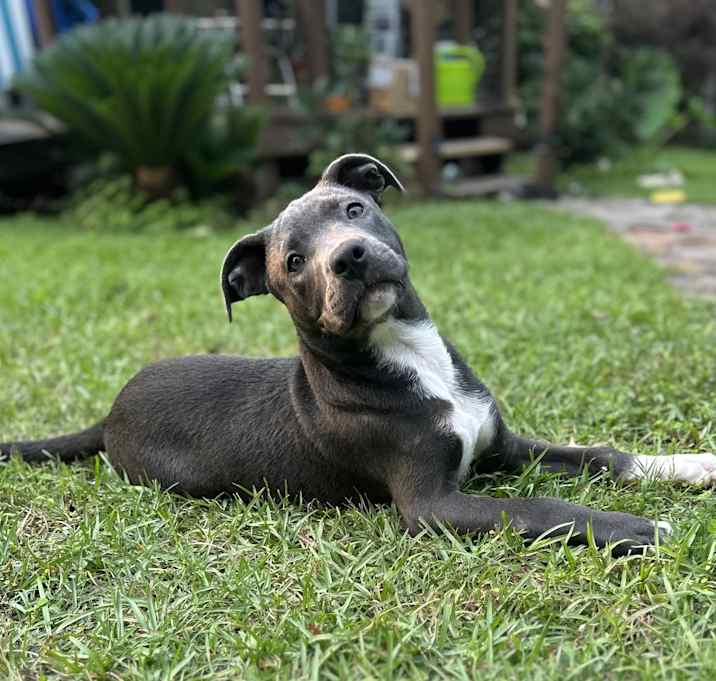 Photo of Cassie Jo