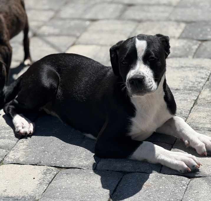 Photo of Isla/Dorothy