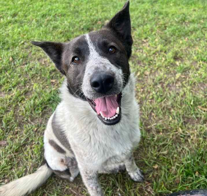 Photo of Rico