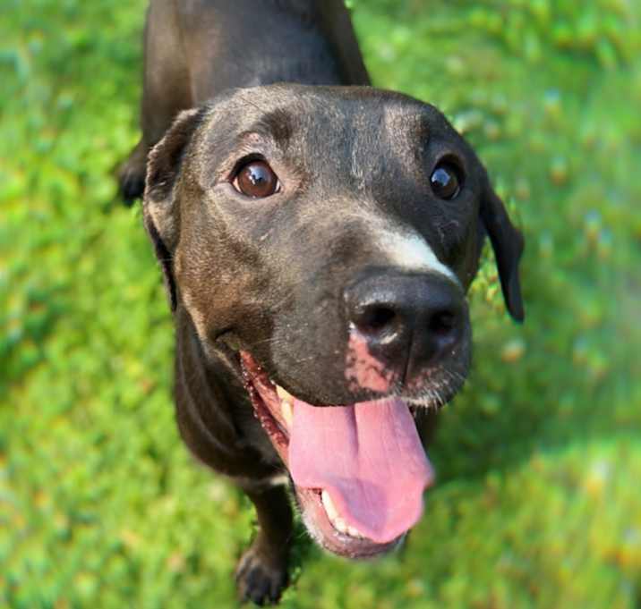 Photo of Roxie