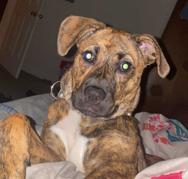 Photo of Xyla