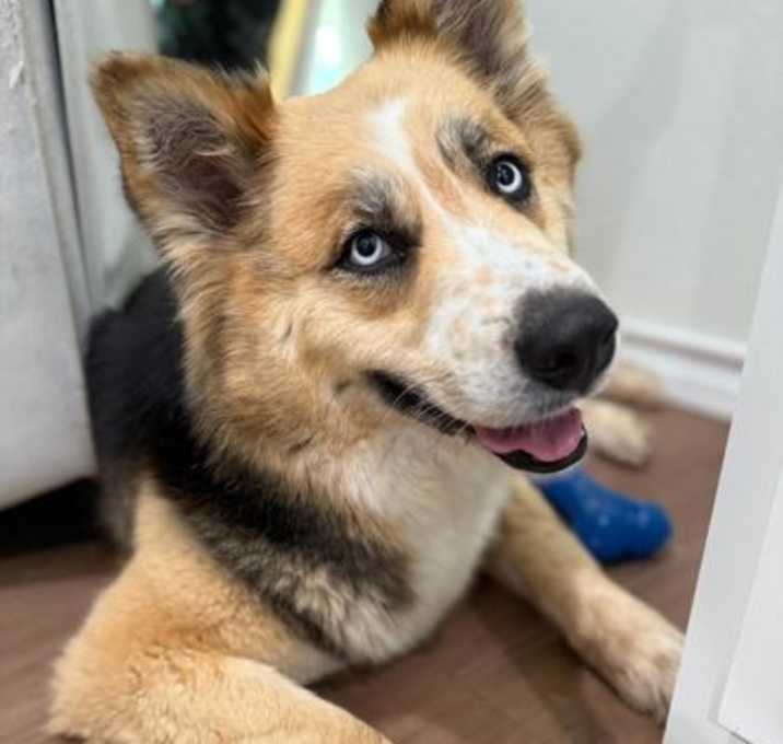 Photo of Dakota