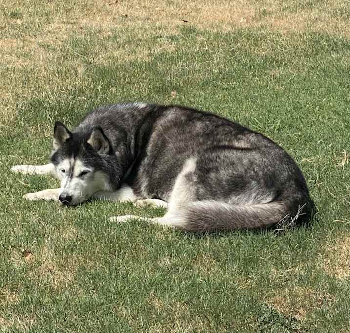 Photo of Myka