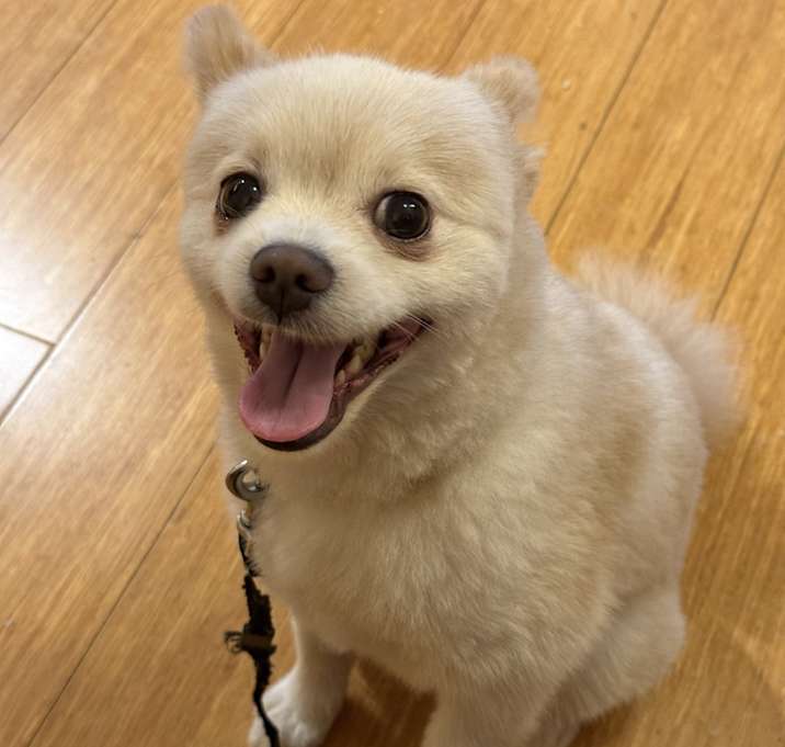 Photo of Bubba