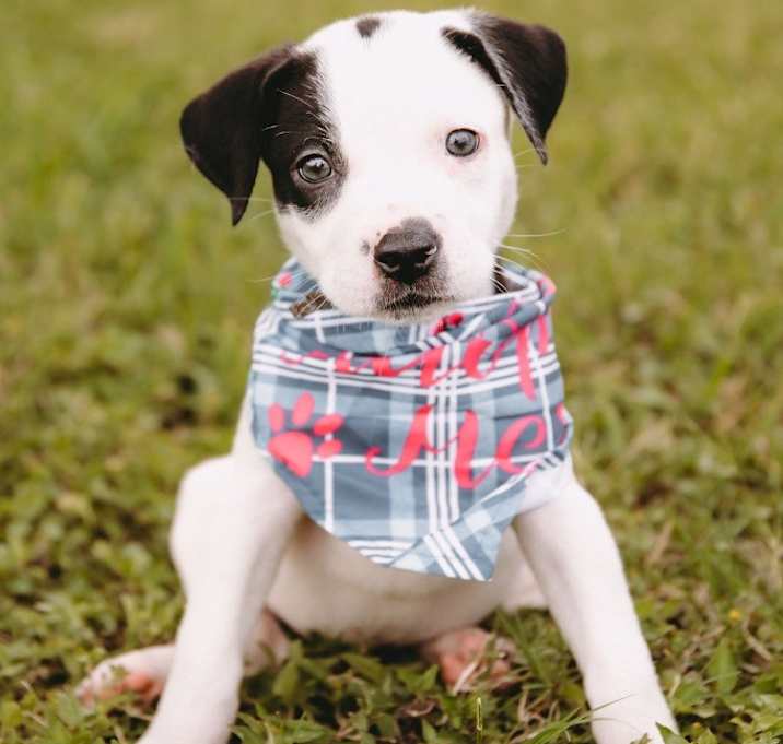 Photo of SB (Baby) Ruth