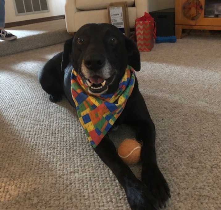 Photo of Barney
