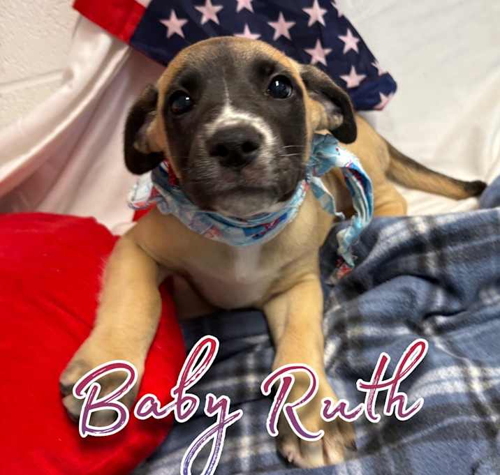 Photo of Baby Ruth