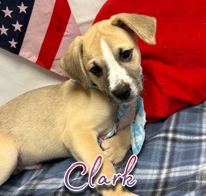 Photo of Clark