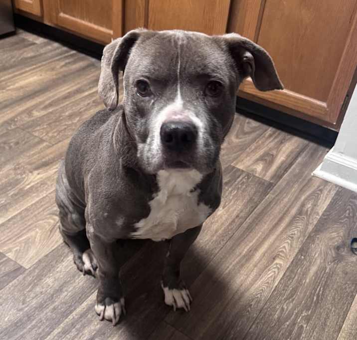 Photo of Axle