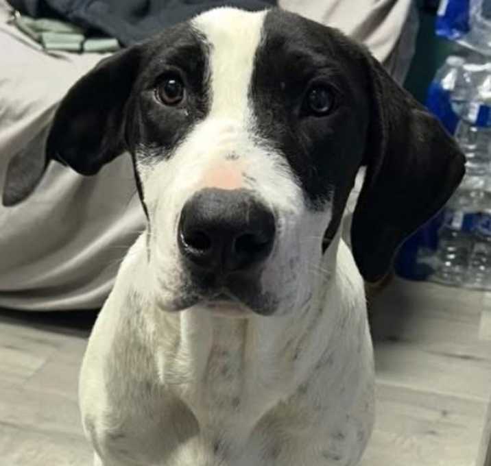 Photo of MO/URGENT