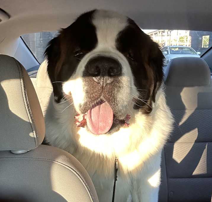 Photo of Tommy