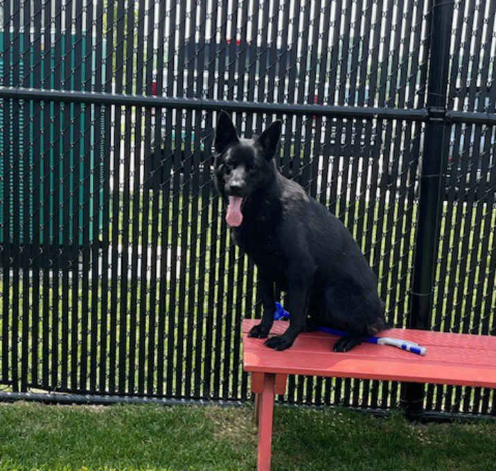 Photo of Ruth