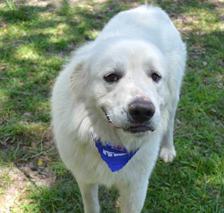 Photo of Monte