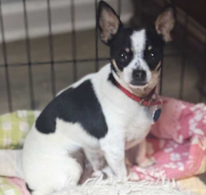 Photo of TIMID TIMOTHY