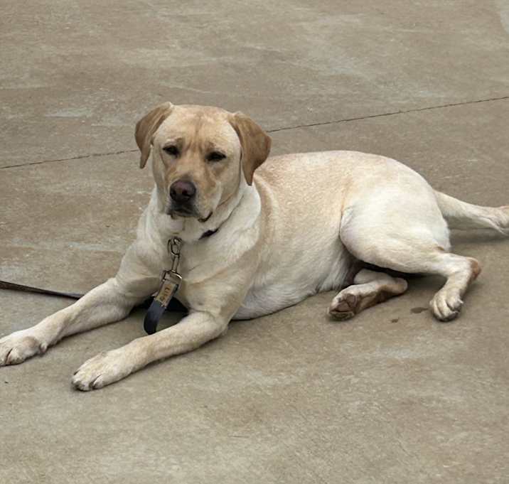 Photo of Roxy