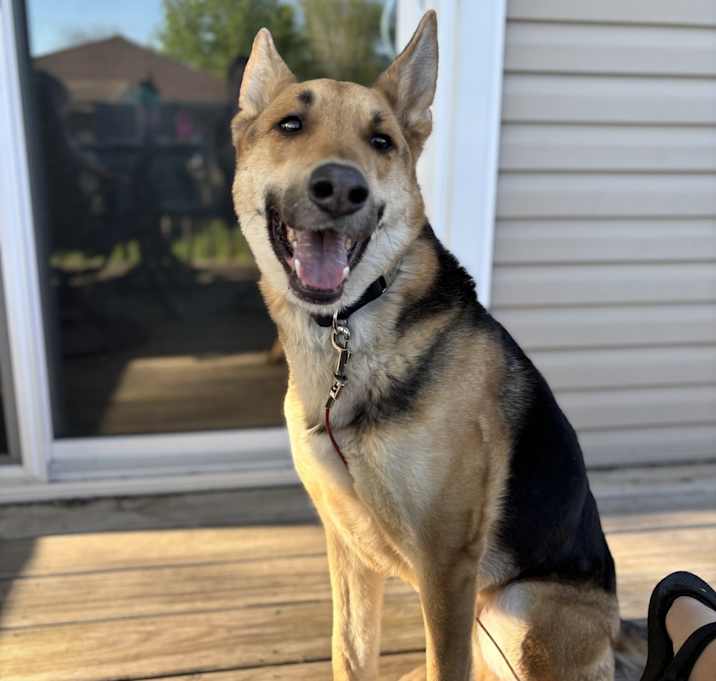 Photo of Gunner