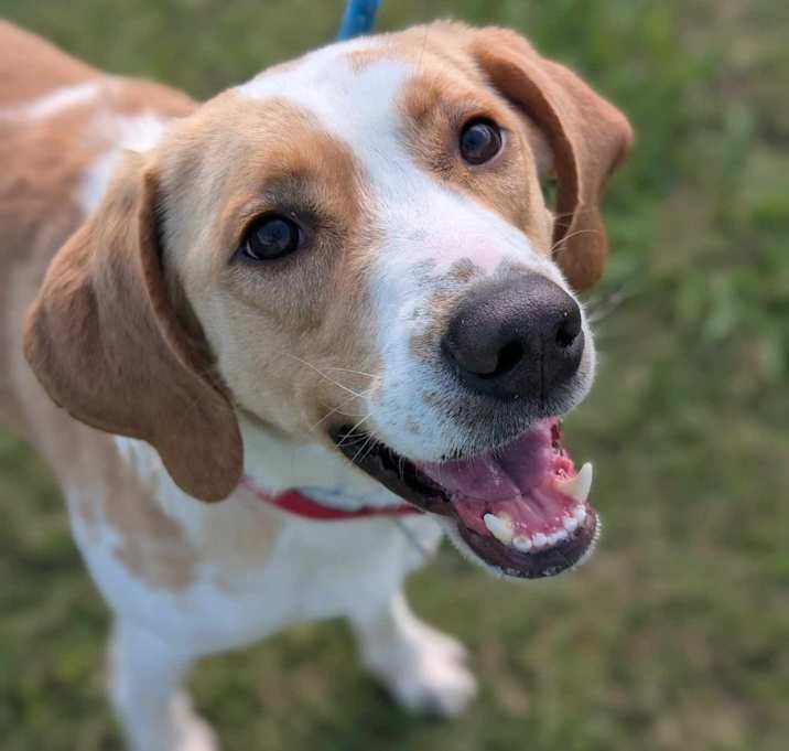 Photo of Scooter