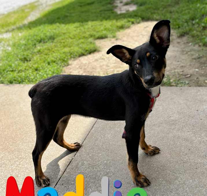Photo of Maddie