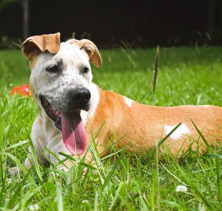 Photo of Fiona