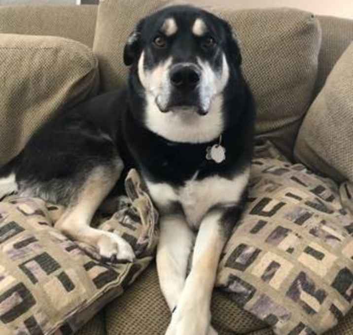 Photo of Bane