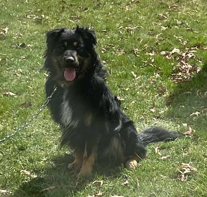 Photo of Sully