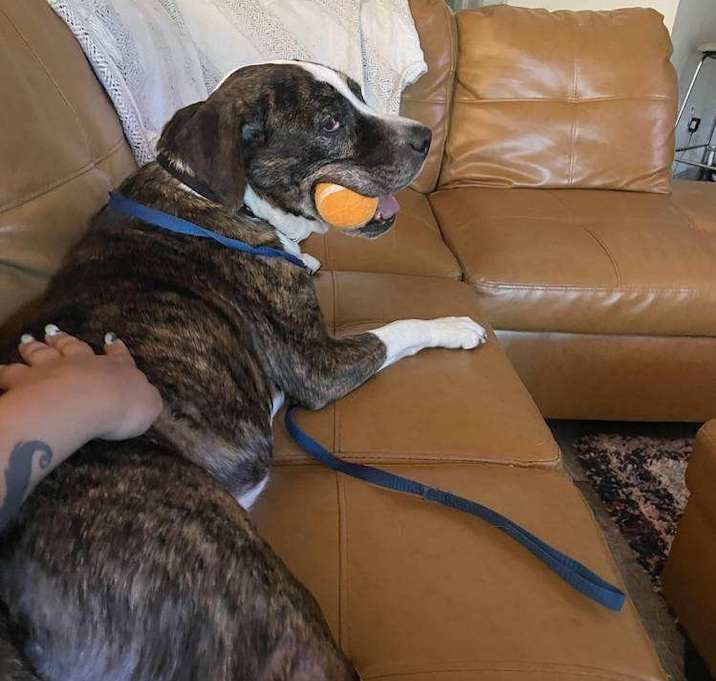 Photo of Coco