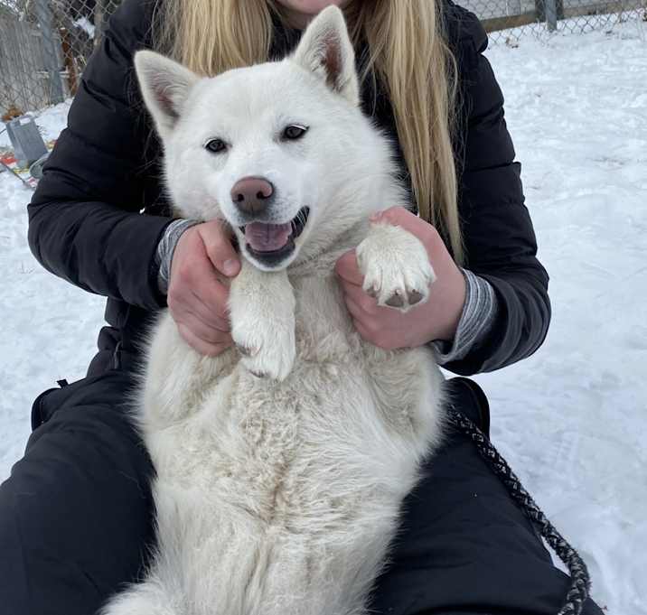 Photo of Polar