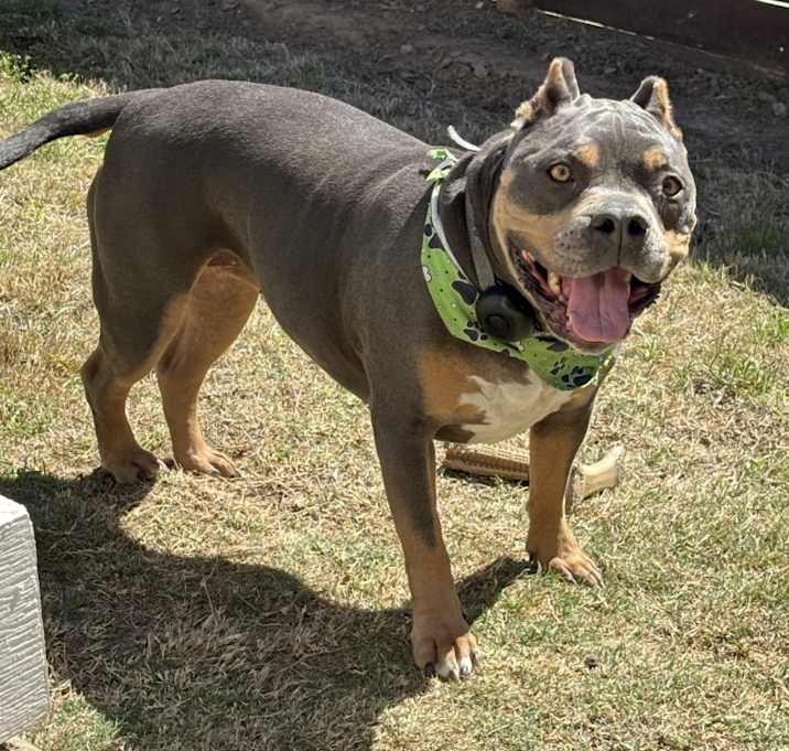 Photo of Roxi