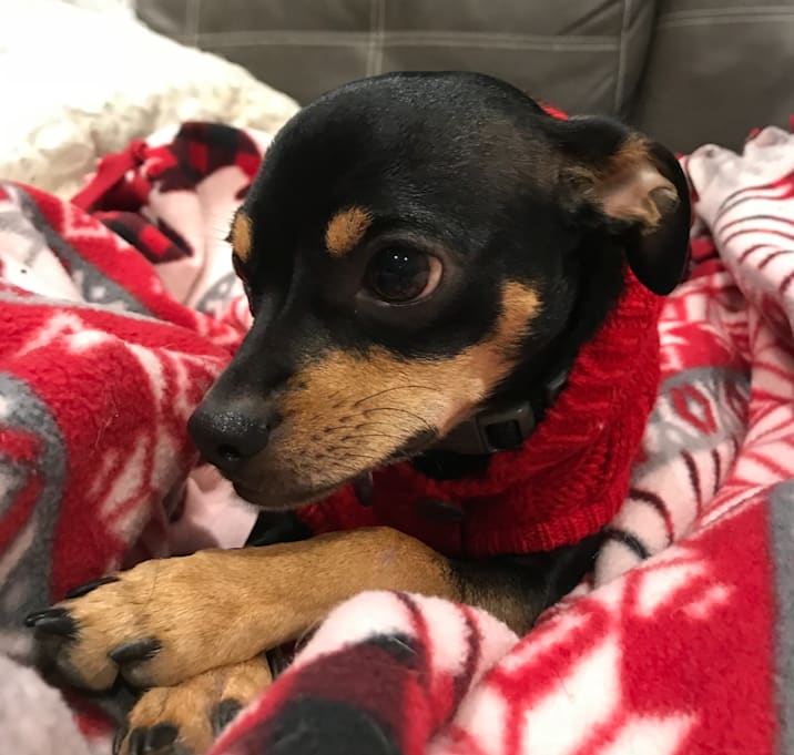Photo of Reese