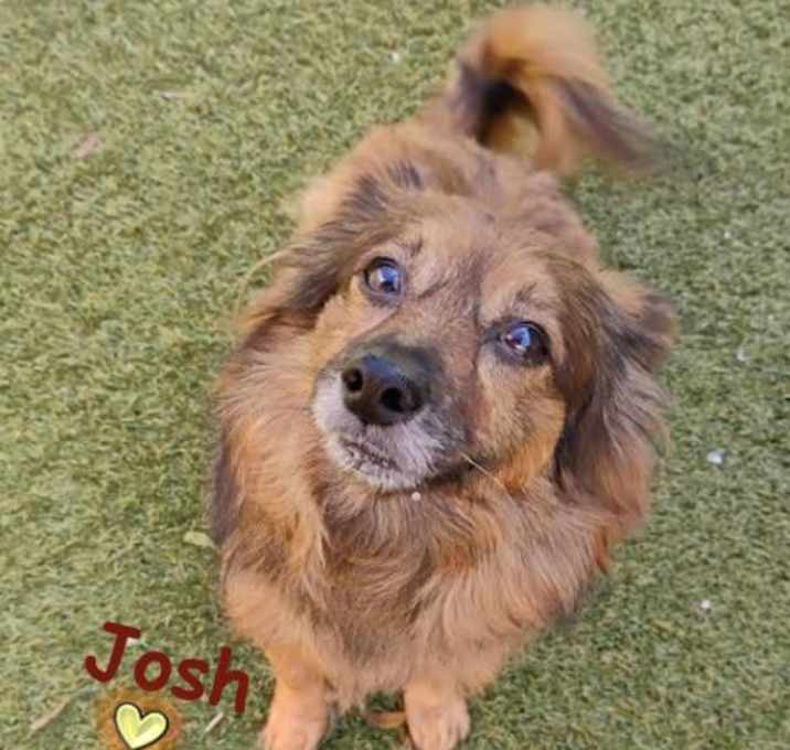 Photo of Josh