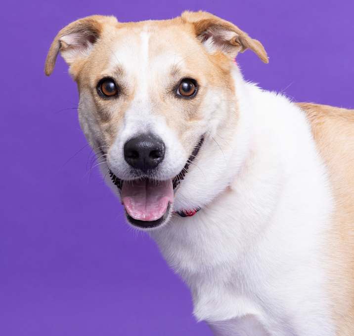 Photo of Riley