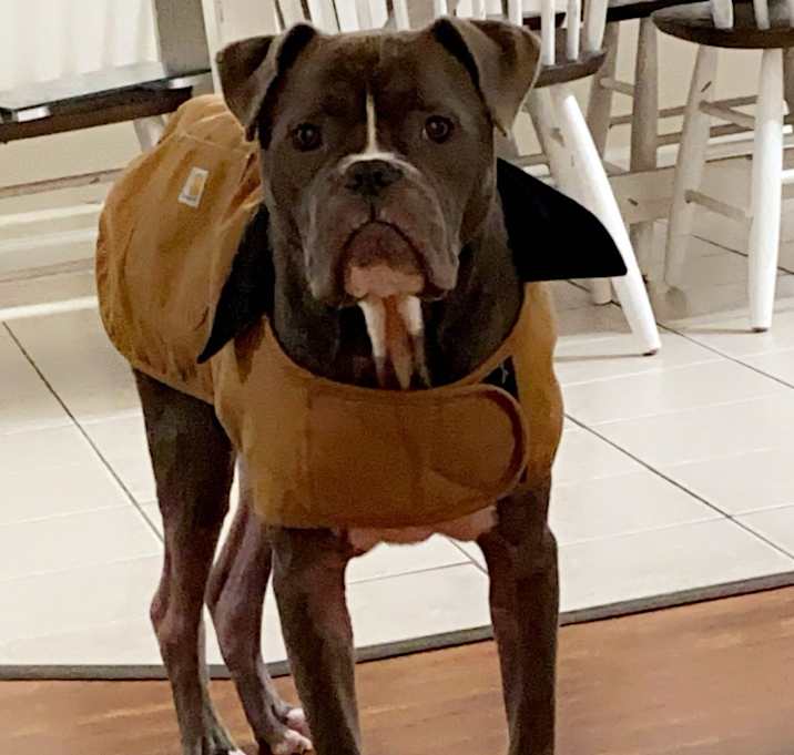 Photo of Knox