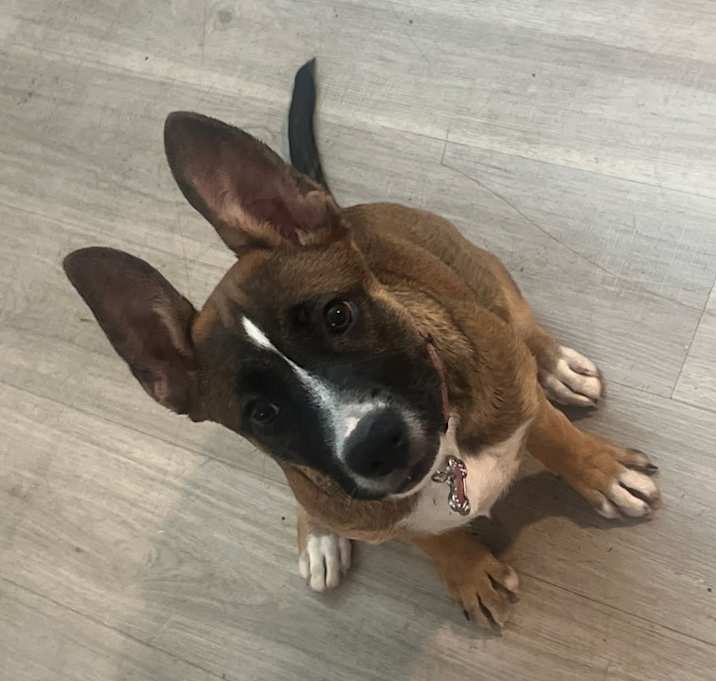 Photo of Leilah