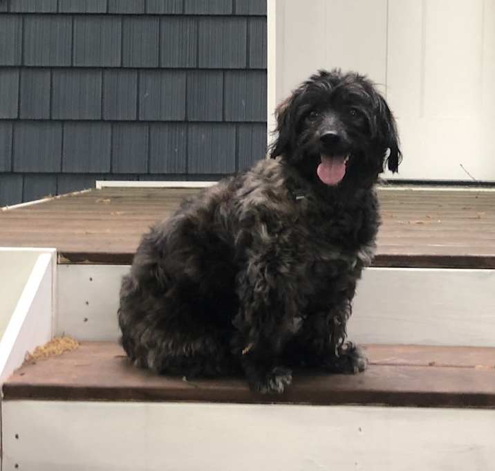 Photo of Howie