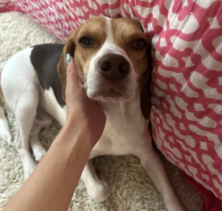Photo of Copper