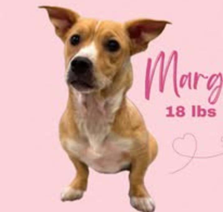 Photo of Margo