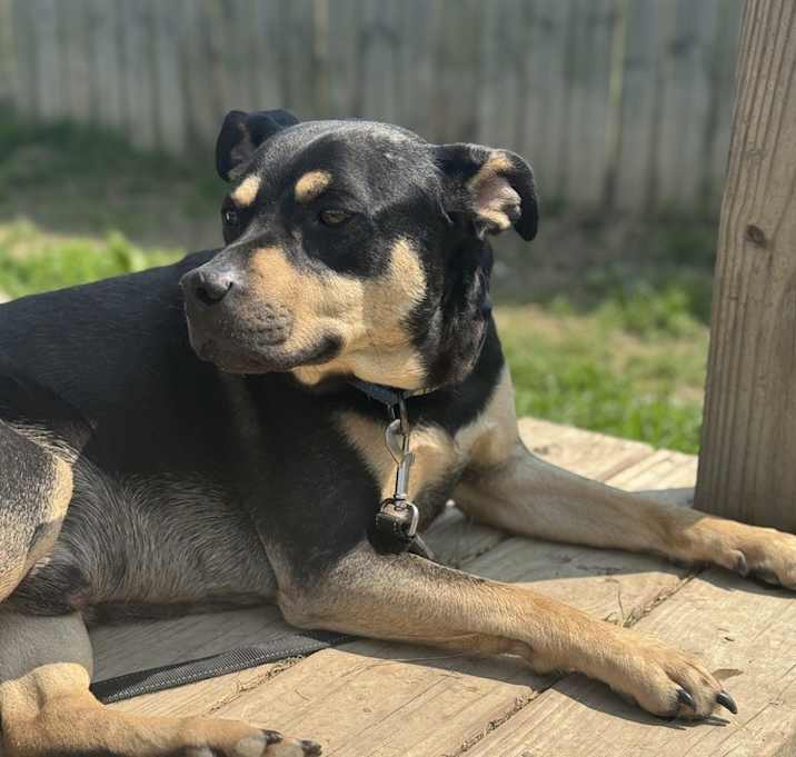Photo of Sully