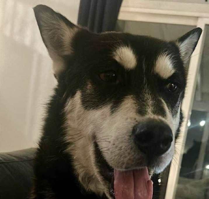 Photo of ZEUS