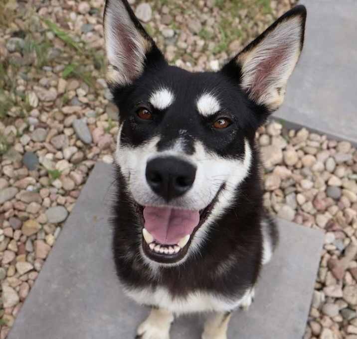 Photo of REX