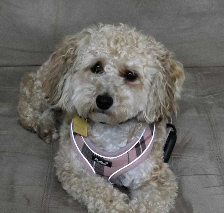 Photo of Charlotte