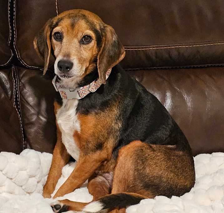 Photo of Luna
