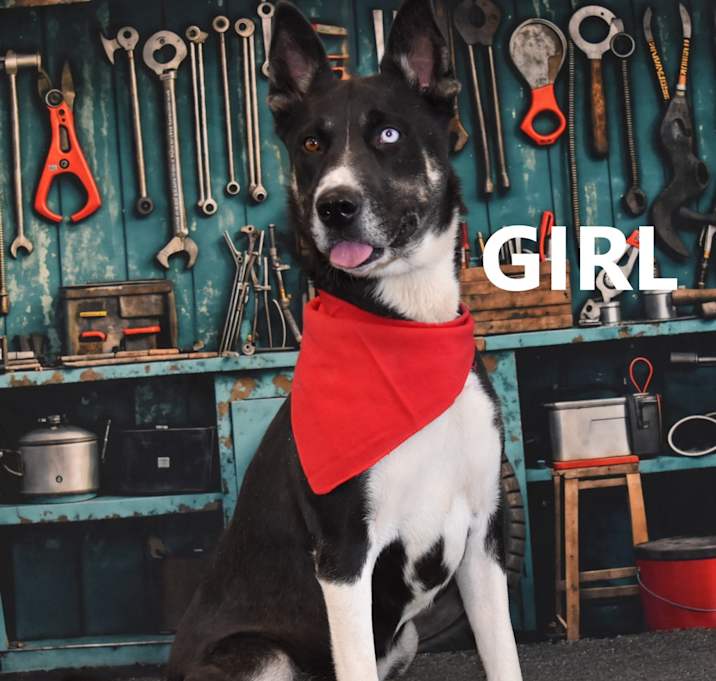 Photo of  Girl