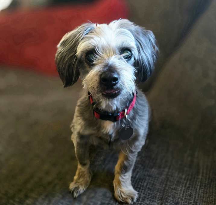 Photo of Pru