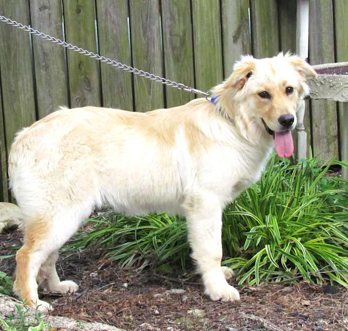 Photo of MAGGIE