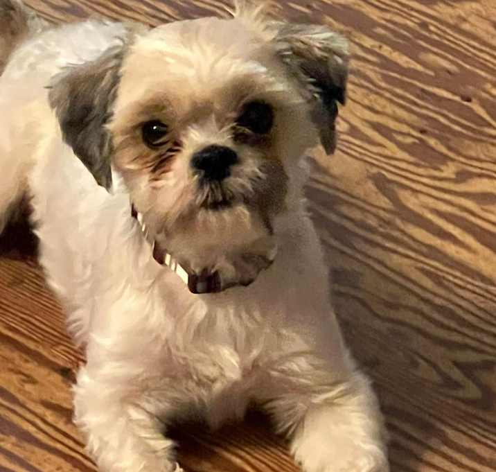 Photo of Sophie